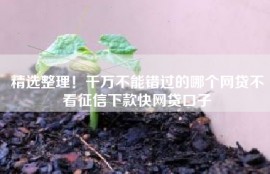 精选整理！千万不能错过的哪个网贷不看征信下款快网贷口子