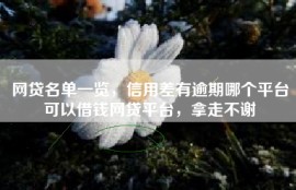网贷名单一览，信用差有逾期哪个平台可以借钱网贷平台，拿走不谢