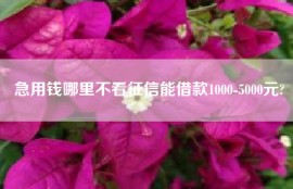 急用钱哪里不看征信能借款1000-5000元?