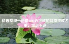 精选整理一份借1000必下款的网贷贷款名单，拿走不谢