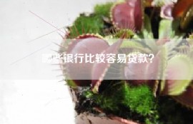 哪些银行比较容易贷款？