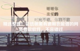 精选整理！征信很黑有逾期也能借的网贷借款软件，不容错过