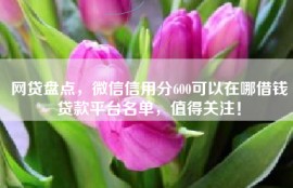 网贷盘点，微信信用分600可以在哪借钱贷款平台名单，值得关注！