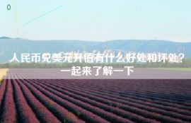 人民币兑美元升值有什么好处和坏处？一起来了解一下