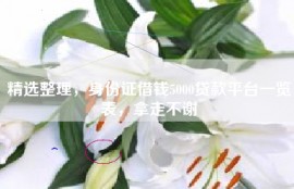 精选整理，身份证借钱5000贷款平台一览表，拿走不谢