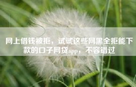 网上借钱被拒，试试这些网黑全拒能下款的口子网贷app，不容错过