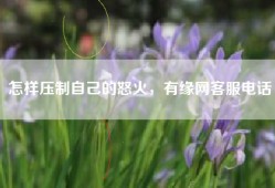 怎样压制自己的怒火，有缘网客服电话