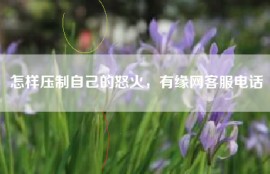 怎样压制自己的怒火，有缘网客服电话