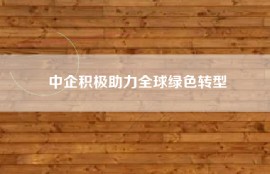 中企积极助力全球绿色转型