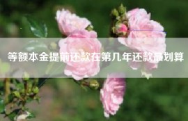 等额本金提前还款在第几年还款最划算