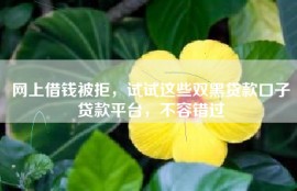 网上借钱被拒，试试这些双黑贷款口子贷款平台，不容错过
