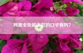 网黑全拒能下款的口子有吗？