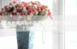 无年龄限制的小额贷款有哪些？盘点几个贷款app好下款的