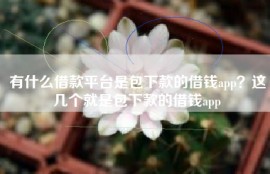 有什么借款平台是包下款的借钱app？这几个就是包下款的借钱app