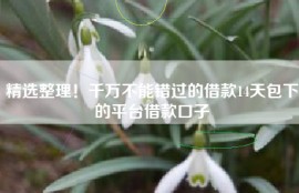 精选整理！千万不能错过的借款14天包下的平台借款口子