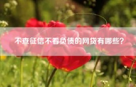 不查征信不看负债的网贷有哪些？