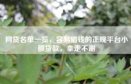 网贷名单一览，容易借钱的正规平台小额贷款，拿走不谢