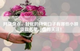 网贷盘点，好批的网贷口子有哪些小额贷款名单，值得关注！