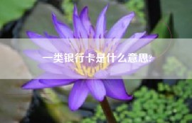 一类银行卡是什么意思?