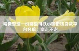 精选整理一份哪里可以小额借钱贷款平台名单，拿走不谢