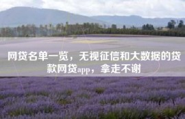 网贷名单一览，无视征信和大数据的贷款网贷app，拿走不谢