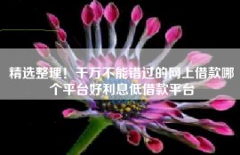 精选整理！千万不能错过的网上借款哪个平台好利息低借款平台