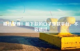 精选整理！能下款的口子贷款平台，不容错过