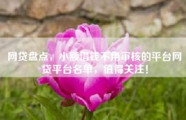 网贷盘点，小额借钱不用审核的平台网贷平台名单，值得关注！