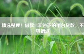 精选整理！借款14天包下的平台贷款，不容错过