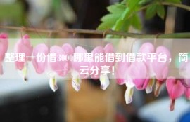 整理一份借3000哪里能借到借款平台，简云分享！