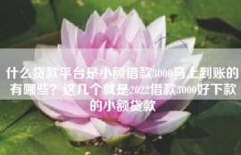 什么贷款平台是小额借款3000马上到账的有哪些？这几个就是2022借款3000好下款的小额贷款