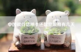 中国银行信用卡还款宽限期有几天