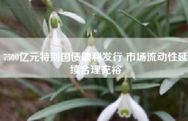 7500亿元特别国债顺利发行 市场流动性延续合理充裕