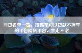 网贷名单一览，按揭车可以贷款不押车的平台网贷平台，拿走不谢