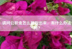 请问公积金怎么提取出来，有什么办法吗？