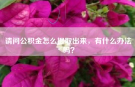 请问公积金怎么提取出来，有什么办法吗？