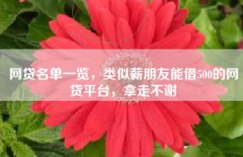 网贷名单一览，类似薪朋友能借500的网贷平台，拿走不谢