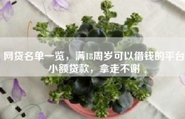 网贷名单一览，满18周岁可以借钱的平台小额贷款，拿走不谢