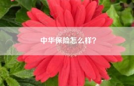 中华保险怎么样？