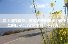 网上借钱被拒，试试这些网黑全拒能下款的口子2022贷款平台，不容错过