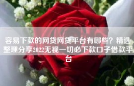 容易下款的网贷网贷平台有哪些？精选整理分享2022无视一切必下款口子借款平台