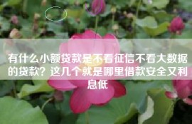 有什么小额贷款是不看征信不看大数据的贷款？这几个就是哪里借款安全又利息低