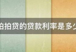 拍拍贷的贷款利率是多少