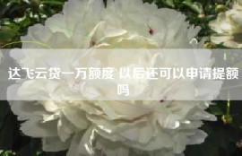 达飞云贷一万额度 以后还可以申请提额吗