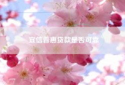 宜信普惠贷款是否可靠