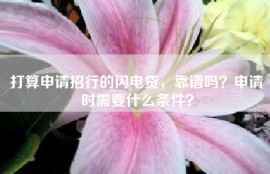 打算申请招行的闪电贷，靠谱吗？申请时需要什么条件？