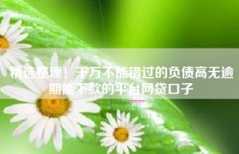 精选整理！千万不能错过的负债高无逾期能下款的平台网贷口子