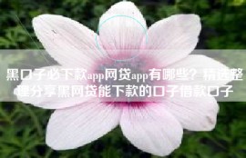 黑口子必下款app网贷app有哪些？精选整理分享黑网贷能下款的口子借款口子