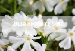 铁山靠退网前赚了多少钱？