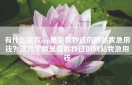 有什么贷款app是贷款秒过的网站我急用钱？这几个就是贷款秒过的网站我急用钱